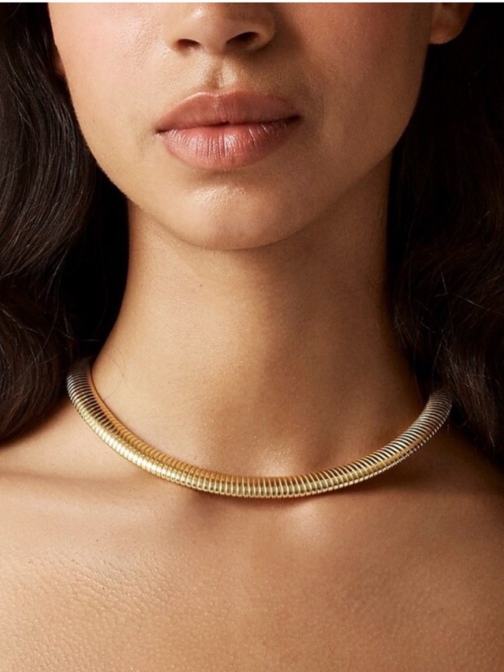 J Crew Slink Chain Necklace